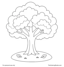 Leafy tree with a broad rounded canopy, sturdy trunk, and small fallen leaves on a white background.