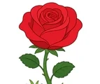 Large rose bloom with layered petals, green leaves, and a small garden patch on a white background.