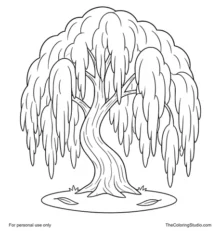 Willow tree with drooping green leaf masses, curved trunk, and small fallen leaves on a white background.