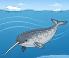 Adult narwhal swimming beneath Arctic ice with one long tusk, two flippers, broad tail flukes, and water currents.