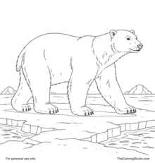 Polar bear walking across an Arctic ice floe with open water and distant rounded ice shapes.
