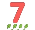 Large coral red number 7 with seven small leaves grouped below on a white background.