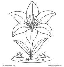 Large lily flower with broad petals, green leaves, and a small garden patch on a white background.