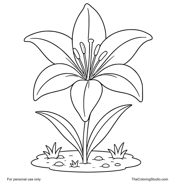 Large lily flower with broad petals, green leaves, and a small garden patch on a white background.
