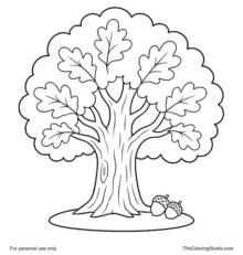 Oak tree with a sturdy trunk, rounded green canopy, and two small acorns on a white background.