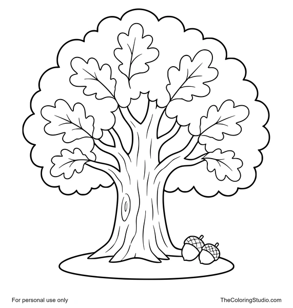 Oak tree with a sturdy trunk, rounded green canopy, and two small acorns on a white background.