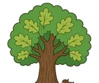 Oak tree with a sturdy trunk, rounded green canopy, and two small acorns on a white background.