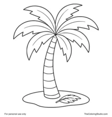 Palm tree with broad green fronds, a curved trunk, and a small fallen leaf on a white background.