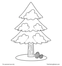 Pine tree with layered evergreen branches and two small pine cones on a white background.