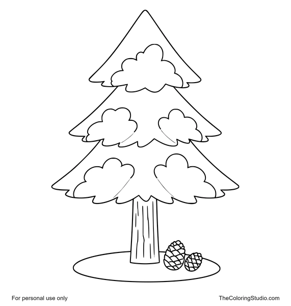 Pine tree with layered evergreen branches and two small pine cones on a white background.