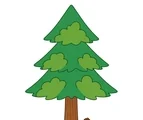 Pine tree with layered evergreen branches and two small pine cones on a white background.