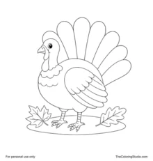 Thanksgiving turkey standing with seven colorful tail feathers and two autumn leaves on a white background.