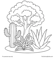 Leafy tree, cactus, fern, and aloe vera grouped on a simple ground patch with a white background.