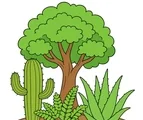 Leafy tree, cactus, fern, and aloe vera grouped on a simple ground patch with a white background.
