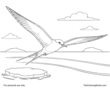 Adult Arctic tern gliding over polar water with pointed wings, a black cap, red beak, forked tail, and a small ice floe.