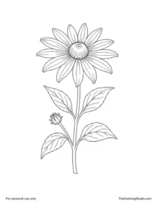 Black-Eyed Susan with golden petals, a dark brown center, green leaves, one stem, and a small unopened bud.