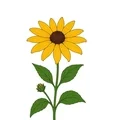 Black-Eyed Susan with golden petals, a dark brown center, green leaves, one stem, and a small unopened bud.