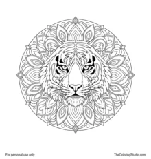 Front-facing tiger mandala with rounded ears, mirrored facial stripes, alert eyes, a broad muzzle, and radial ornaments.