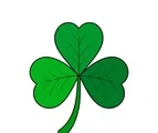 Three-leaf green shamrock with broad rounded leaves and a gently curved stem on a white background.