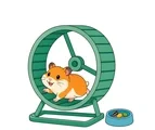Small golden hamster walking inside a simple exercise wheel with a food dish nearby on a white background.