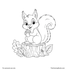 Curious squirrel with a fluffy tail sitting on a stump with simple leaves.