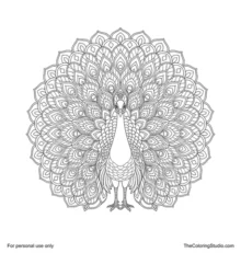Front-facing peacock mandala with a small crested head, folded wings, two legs, and a broad patterned tail fan.