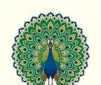 Front-facing peacock mandala with a small crested head, folded wings, two legs, and a broad patterned tail fan.
