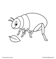 Simple cartoon flea with six legs, enlarged rear jumping legs, short antennae, and one small green leaf.