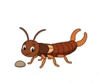 Friendly cartoon earwig with six short legs, curved antennae, and rounded rear forceps beside a small pebble.