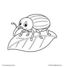 Friendly cartoon weevil with a long curved snout, six short legs, and rounded shapes standing on one broad green leaf.