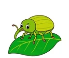 Friendly cartoon weevil with a long curved snout, six short legs, and rounded shapes standing on one broad green leaf.