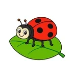 Simple red cartoon ladybug with six legs, large black spots, and two antennae standing on a broad green leaf.