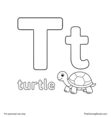 Large coral uppercase T, smaller turquoise lowercase t, the word turtle, and a simple turtle clue on white.
