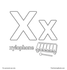 Large magenta uppercase X, smaller teal lowercase x, the word xylophone, and a colorful six-bar xylophone on white.
