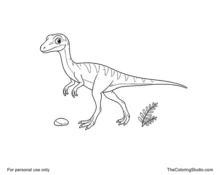 Small friendly Compsognathus walking with a narrow head, short arms, strong hind legs, long tail, pebble, and fern.