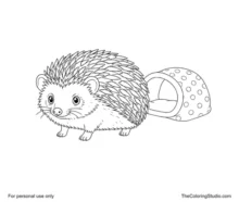 Pet hedgehog with grouped brown spines beside a small soft sleeping hide on a plain white background.