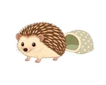 Pet hedgehog with grouped brown spines beside a small soft sleeping hide on a plain white background.