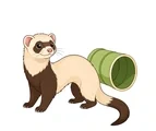 Playful pet ferret with a long curved two-tone body beside a simple tunnel on a plain white background.