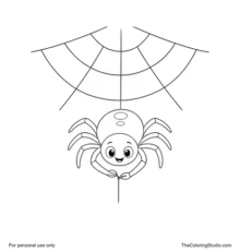 Friendly dark spider hanging from a broad simple web on a white background.