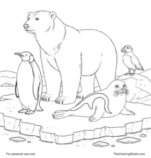 Polar bear, emperor penguin, harp seal, and puffin grouped together on an icy platform above polar water.