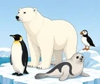Polar bear, emperor penguin, harp seal, and puffin grouped together on an icy platform above polar water.