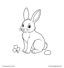 Black rabbit puca sitting beside a three-leaf shamrock and one small rounded stone.