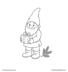 Scandinavian nisse with a red pointed hat holding a gift box beside an evergreen sprig.