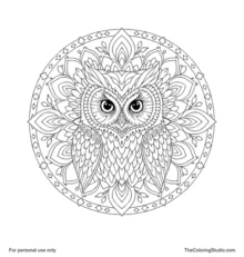 Front-facing owl mandala with large eyes, a short hooked beak, symmetrical feather layers, and radial ornaments.