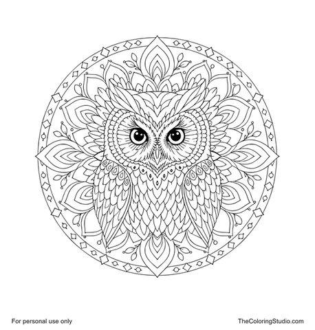 Front-facing owl mandala with large eyes, a short hooked beak, symmetrical feather layers, and radial ornaments.