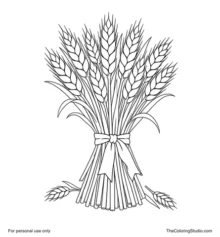 Tied golden wheat sheaf with terracotta ribbon and two small fallen wheat heads on a white background.