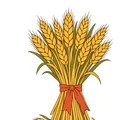 Tied golden wheat sheaf with terracotta ribbon and two small fallen wheat heads on a white background.
