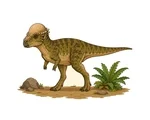 Pachycephalosaurus walking with a domed skull, bony head knobs, short forelimbs, strong hind legs, and a long tail.