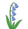 Simple bluebell plant with a few large blue bell-shaped flowers, green leaves, and one curved stem on a white background.