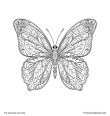 Top-view butterfly mandala with two antennae, four symmetrical wings, mirrored patterns, and radial ornaments.